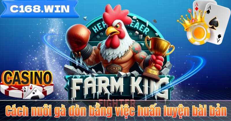 Cách Nuôi Gà Đòn – Bí Quyết Tạo Nên Chiến Kê Bền Bỉ Cách nuôi gà đòn bằng việc huấn luyện bài bản